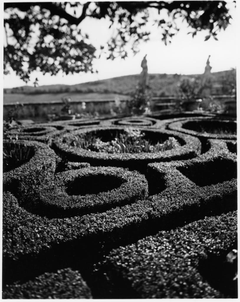 Fotografia Analogica - Studio Fotografico Righi 7